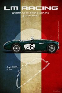 LM Racing Austin Healey 100S, 1955, Lance Macklin