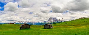 Seiser Alm oder Seiseralm in den Dolomiten im Frühling