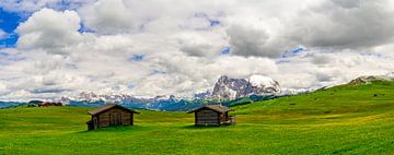 Seiser Alm of Alpe di Siusi in de Dolomieten in het voorjaar