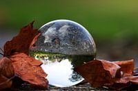 Lensball