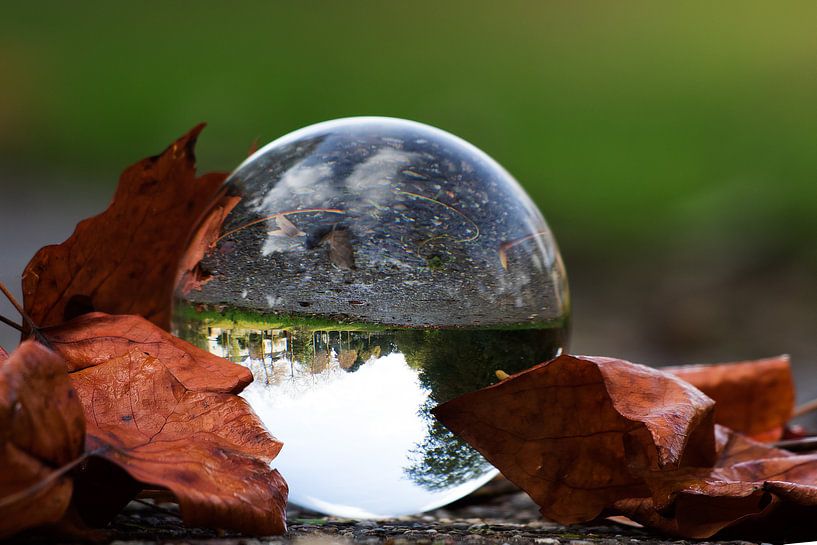 Lensball by sophiimage