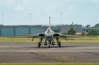 Swedish Air Force Historic Flight Saab J35 Dragons. by Jaap van den Berg thumbnail