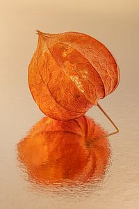 Orange aus der Natur