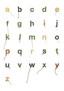 Bladletters binnenvorm alfabet von Twan Van Keulen