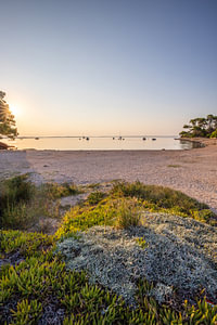 Landschaft mit  Sonnenuntergang am Steinstrand und Pinienwald. Vir, Dalmazien, Kroatien