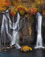 Black, white and autumn colours