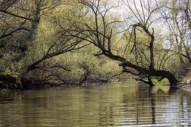 Rathenow "City of Optics