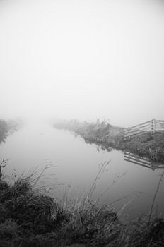 Mistige sloot in een weiland