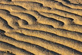 Lignes de plage sur Irene Lommers