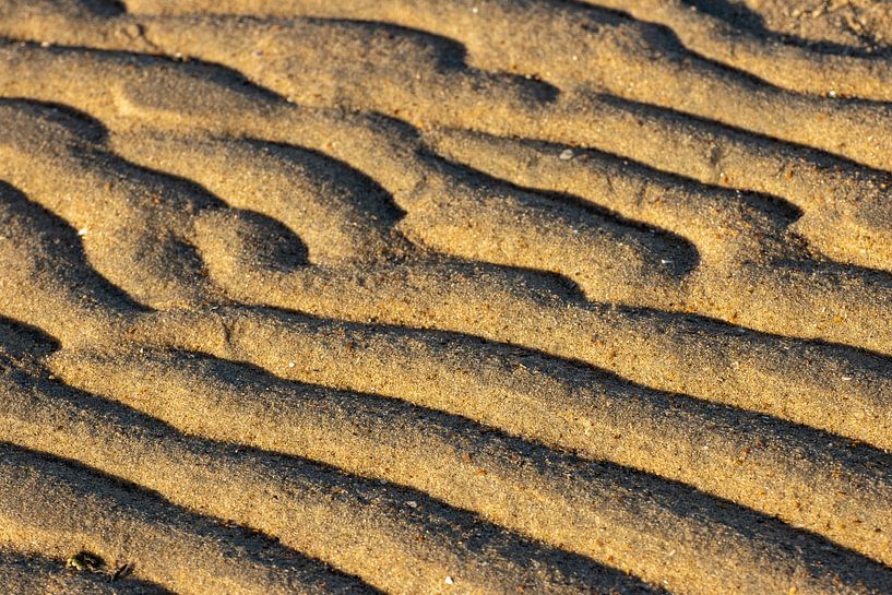Strandlinien von Irene Lommers