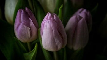 tulpen van nataschja van der Woude-de Jong