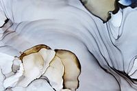 Whirlwind romances