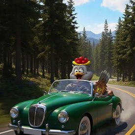 HarryKuckucks wilde Schwarzwald-Fahrt von Ingo Laue