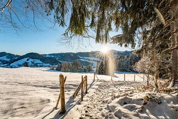 Winteruitzicht op de Hochgrat in de ochtend van Leo Schindzielorz