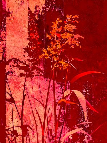 Moderne botanische Illustration - Gräser -7