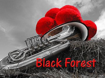 Die Tuba und der Bollenhut Black Forest ART