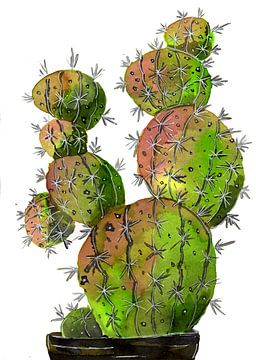 Grote stekelige cactus van Sebastian Grafmann