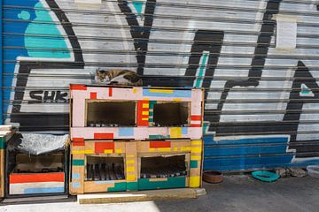 Cat hotel in Athens by Clazien Boot