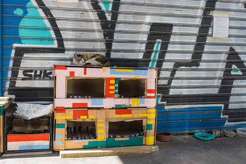 Hôtel pour chats à Athènes sur Clazien Boot