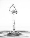 Water drops #6 van Marije Rademaker thumbnail