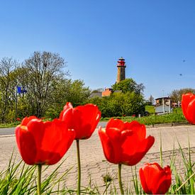 neuer Leuchturm  Kap Arkona, rote Tulpen von GH Foto & Artdesign