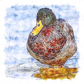 Mannetjes eend (aquarel) van Art by Jeronimo