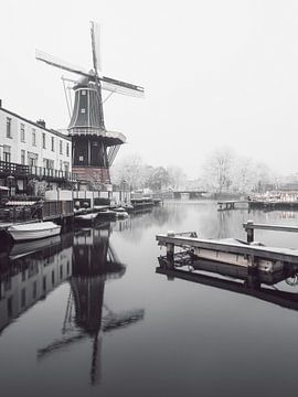 Haarlem : moulin De Adriaan 2. sur OK