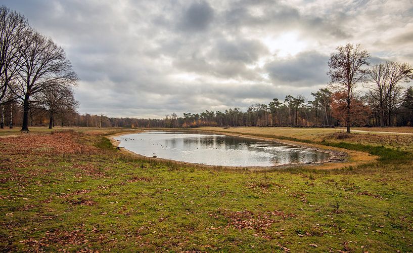 Kleiner teilweise ausgetrockneter See in der Herbstsaison von Ruud Morijn