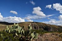 Wandern im Spring Canyon