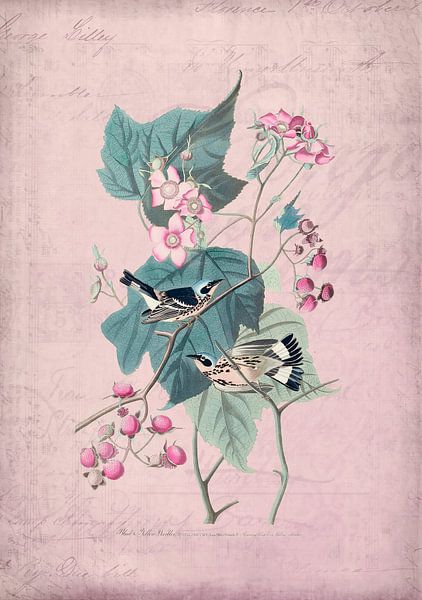Vogels roos Romantiek van Andrea Haase