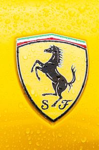 Insigne Ferrari sur une Ferrari 458 Italia sport car sur Sjoerd van der Wal Photographie