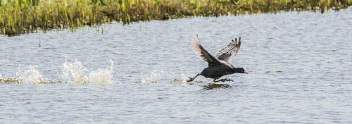 Ne t'approche pas de moi