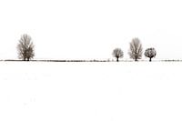 A serene winter landscape