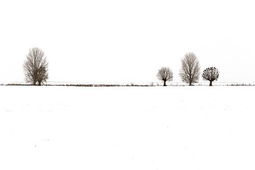 Een serene winterlandschap