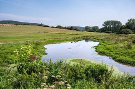Le Marais de la Cussignière by Werner Lerooy