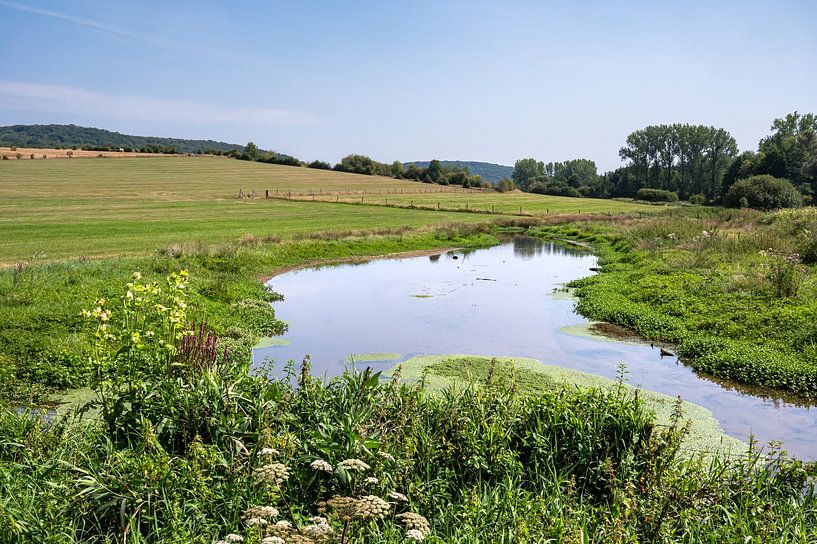 Le Marais de la Cussignière van Werner Lerooy