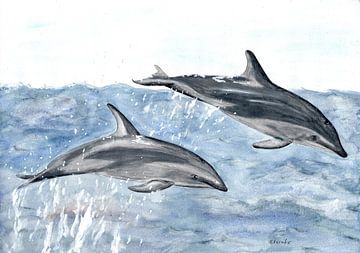 Dolfijnen van Sandra Steinke