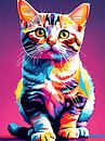 American Shorthair Pop Art by MIROKKU thumbnail