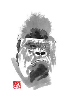 gorilla van Péchane Sumie