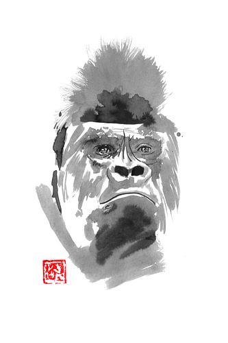 gorilla