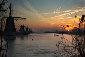 kinderdijk in de winter
