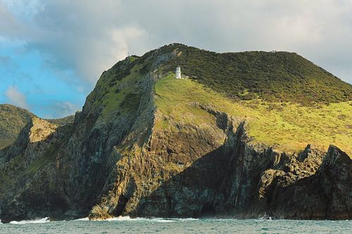 Vuuroren op klif in Nieuw-Zeeland