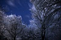 midwinter