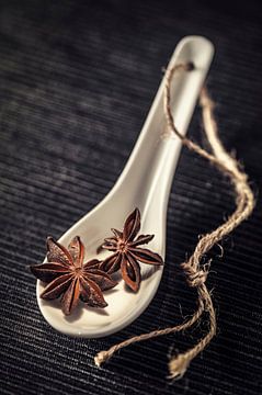 Star anise (spices, Amuse) by Kristian Hoekman