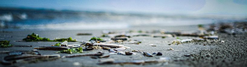Muschelstrand-Panorama von Ed van der Hilst