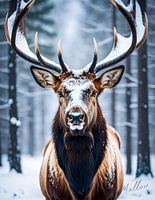 Eland in de winter