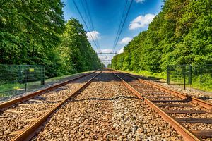 Het spoor