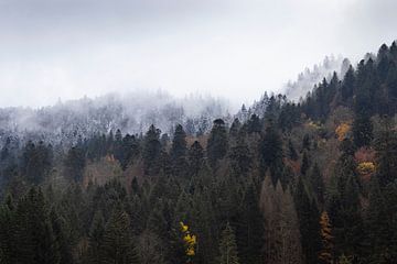Herfst gaat over in winter, Vogezen, Frankrijk van Imladris Images