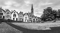 Kathedrale von St. Colman in schwarz-weiß von Henk Meijer Photography Miniaturansicht