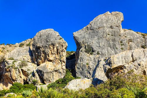 Vall de Boquer (Mallorca)
